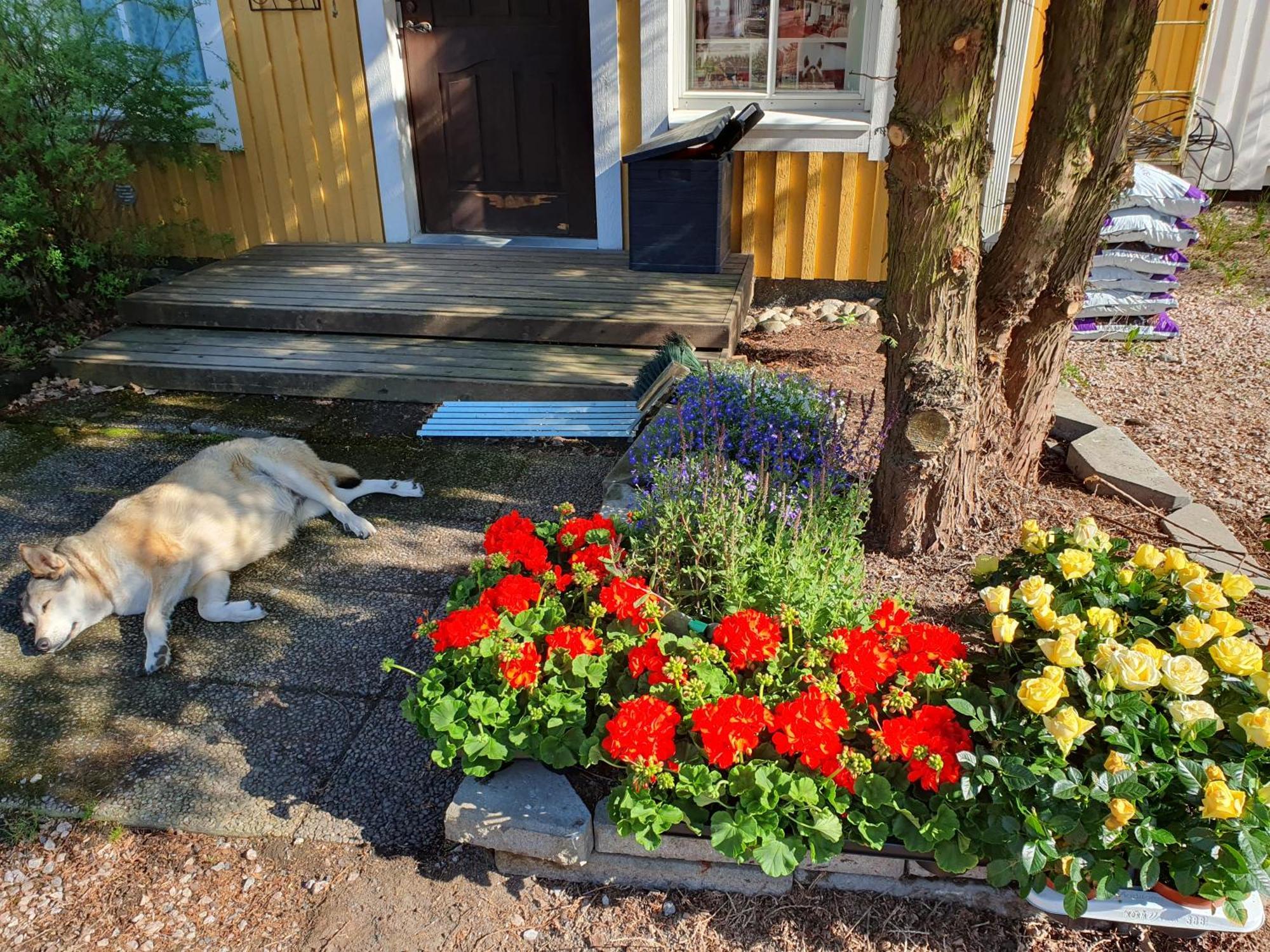 Hostal Siirilaen Tila Seinäjoki Exterior foto