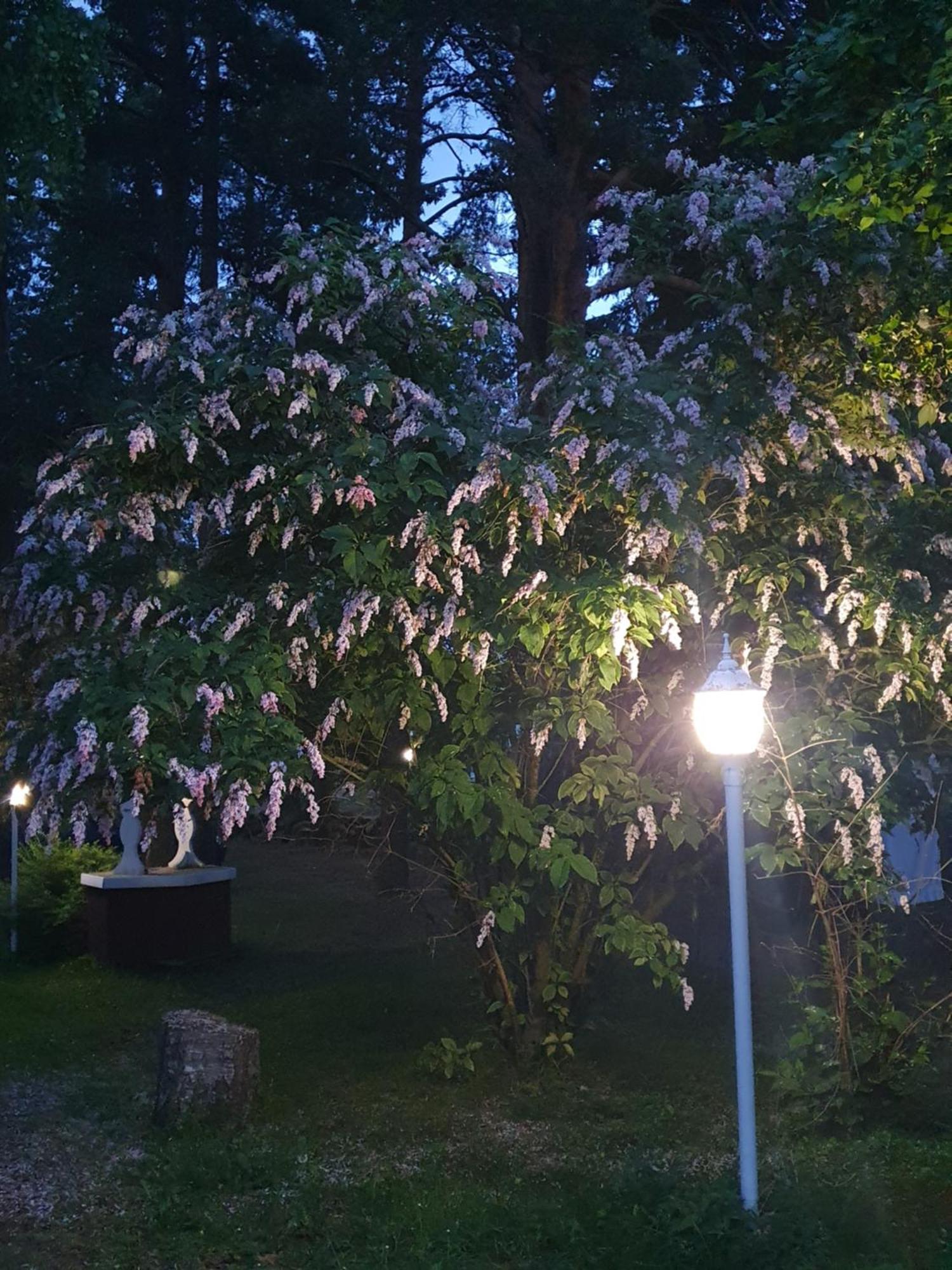 Hostal Siirilaen Tila Seinäjoki Exterior foto